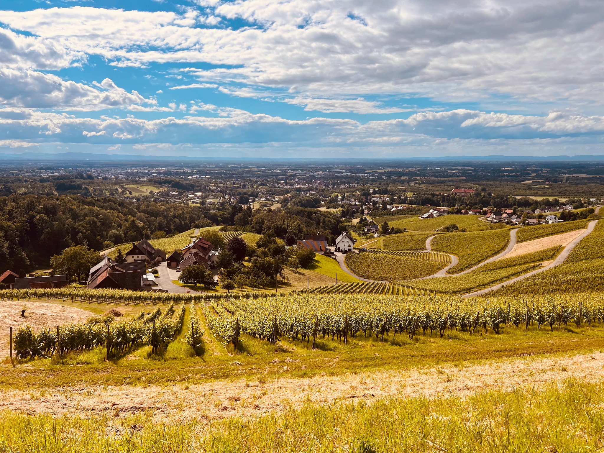 Vue panoramique sur les vignobles et le paysage environnant